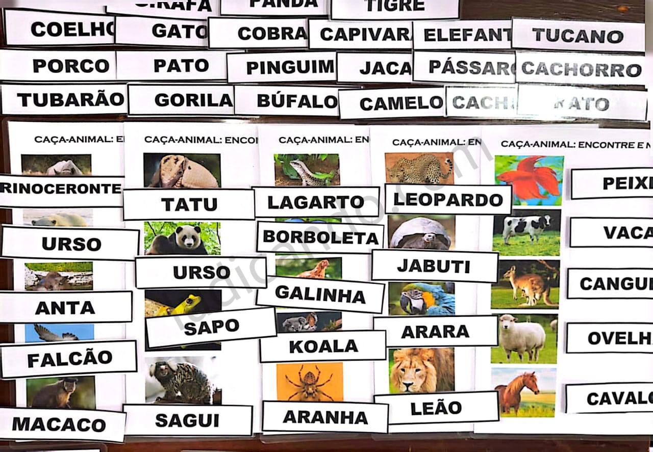 Caça-Animal: Conectando Imagens, Nomes e Ciências
