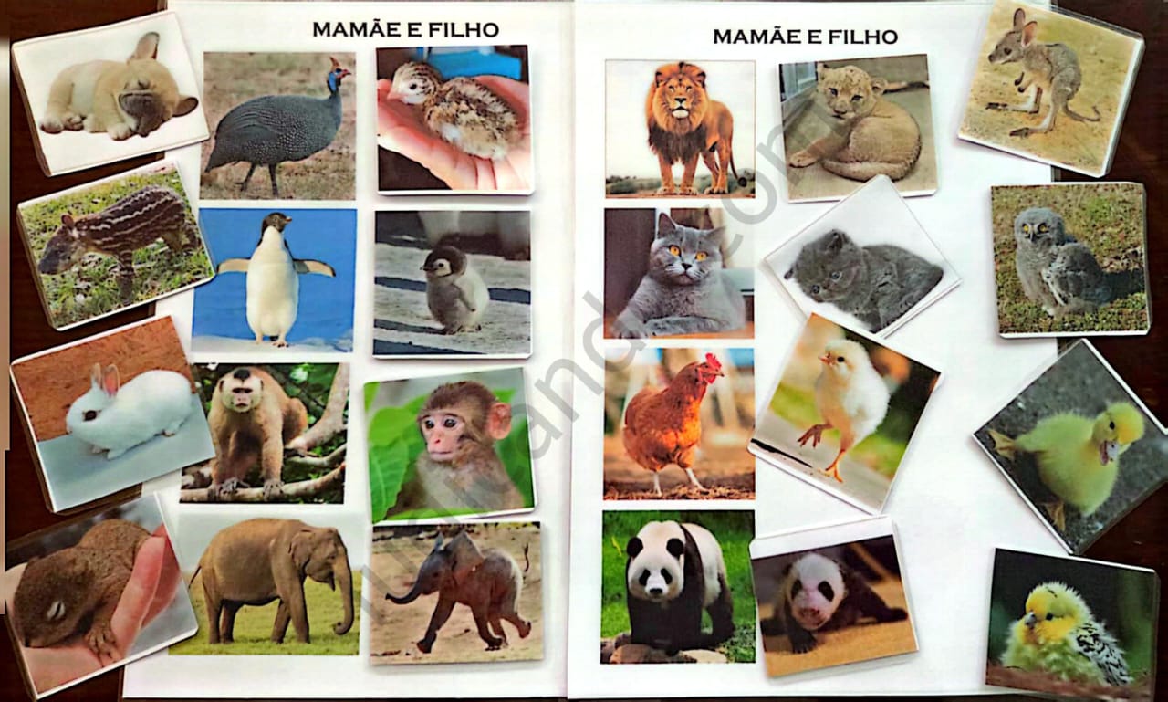 Mamãe e Filho: Associando Animais e Seus Filhotes