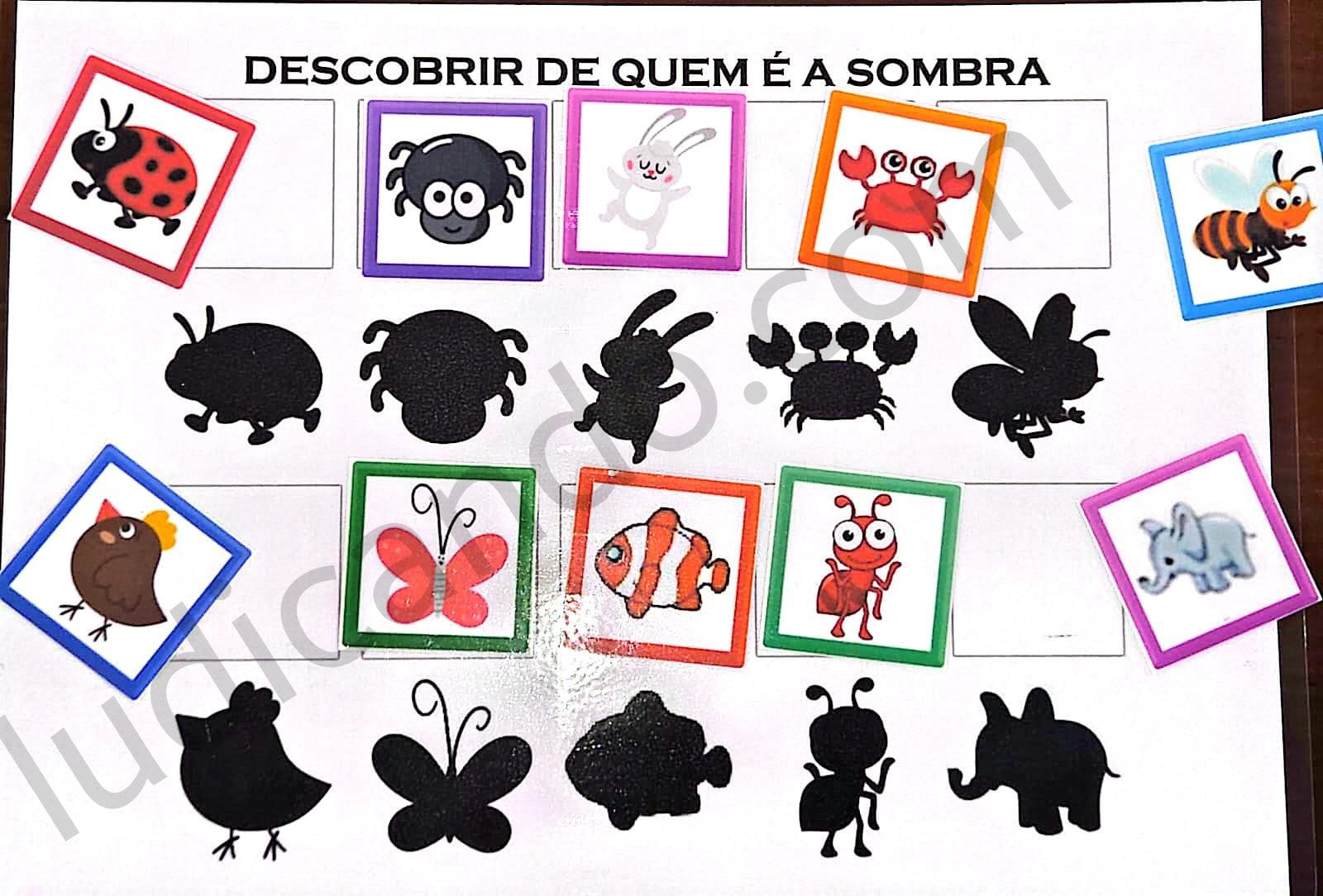 Caça ao Par Animal: Jogo da Memória para Foco e Concentração